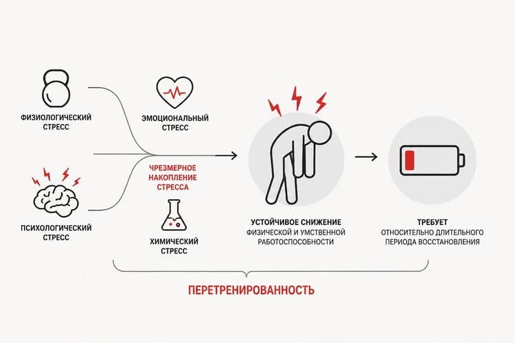 что такое перетренированность