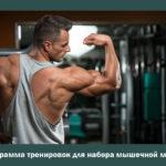 Программа тренировок для набора мышечной массы