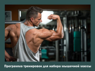 Программы тренировок для набора мышечной массы