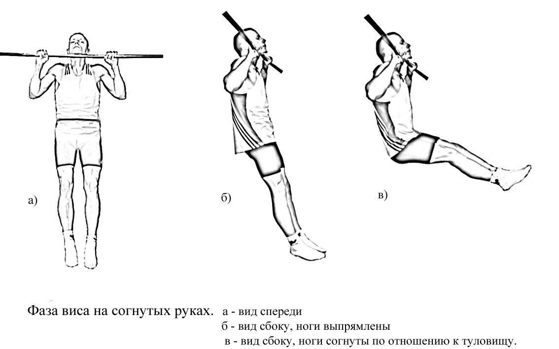 Подтягивание на перекладине план конспект