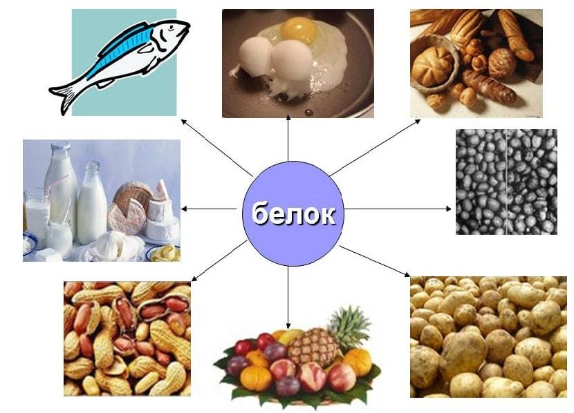 Белки вещества картинки