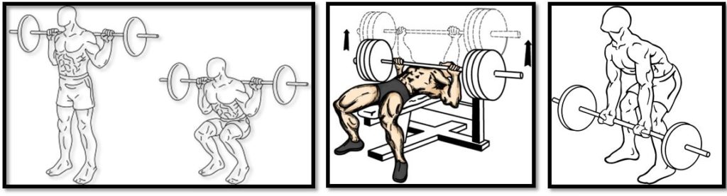 Какие мышцы качают за тренировку thumbnail