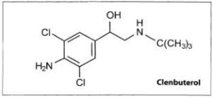Кленбутерол схема для мужчин