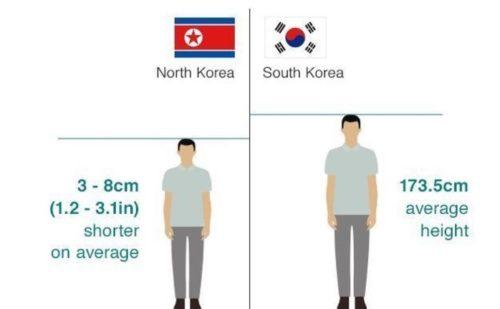 почему южнокорейцы выше северных собратьев