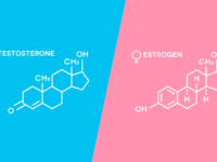 Что такое ксеноэстрогены и как они понижают тестостерон?