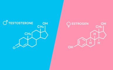 Что такое ксеноэстрогены и как они понижают уровень тестостерона