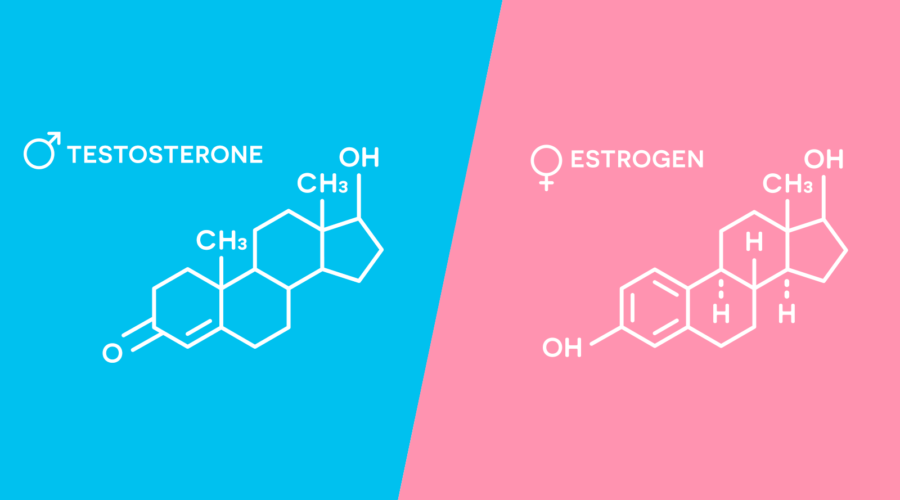 Что такое ксеноэстрогены и как они понижают уровень тестостерона