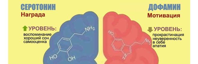 серотонин и дофамин гормоны счастья