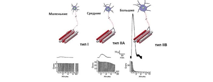 подробный обзор эффективности десяти подходов по три повторения