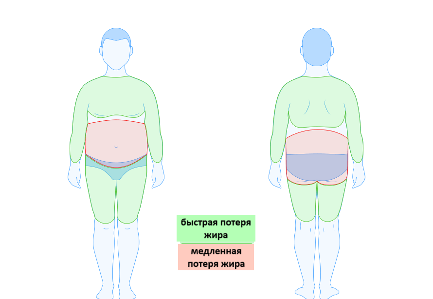 на каких участках тела в первую очередь худеют мужчины