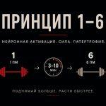 Принцип 1-6 и нервная активация: нейромеханизм роста силы