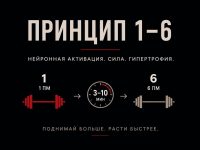 Принцип 1-6 и нервная активация: нейромеханизм роста силы