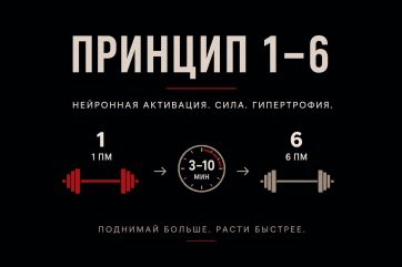 Принцип 1-6 и нервная активация нейромеханизм роста силы