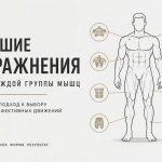 Лучшие упражнения для каждой части тела и группы мышц