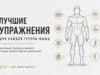 Лучшие упражнения для каждой части тела и группы мышц